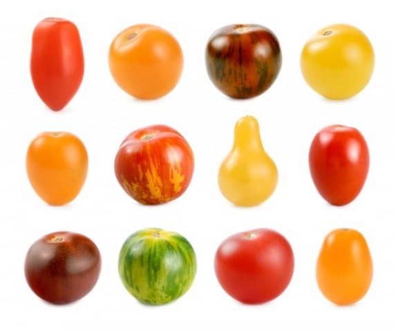 Помідорне достаток або як вибрати кращий сорт томатів